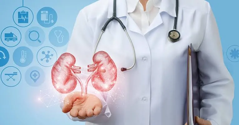 Nephrology & Urology